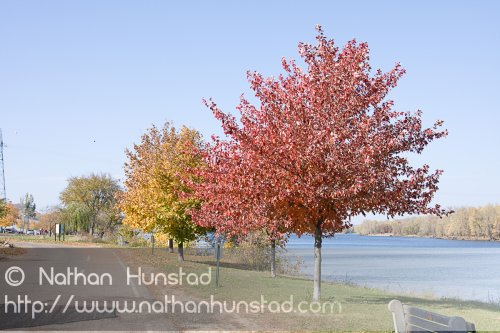 Wabasha_2008-10-25_IMG_2498